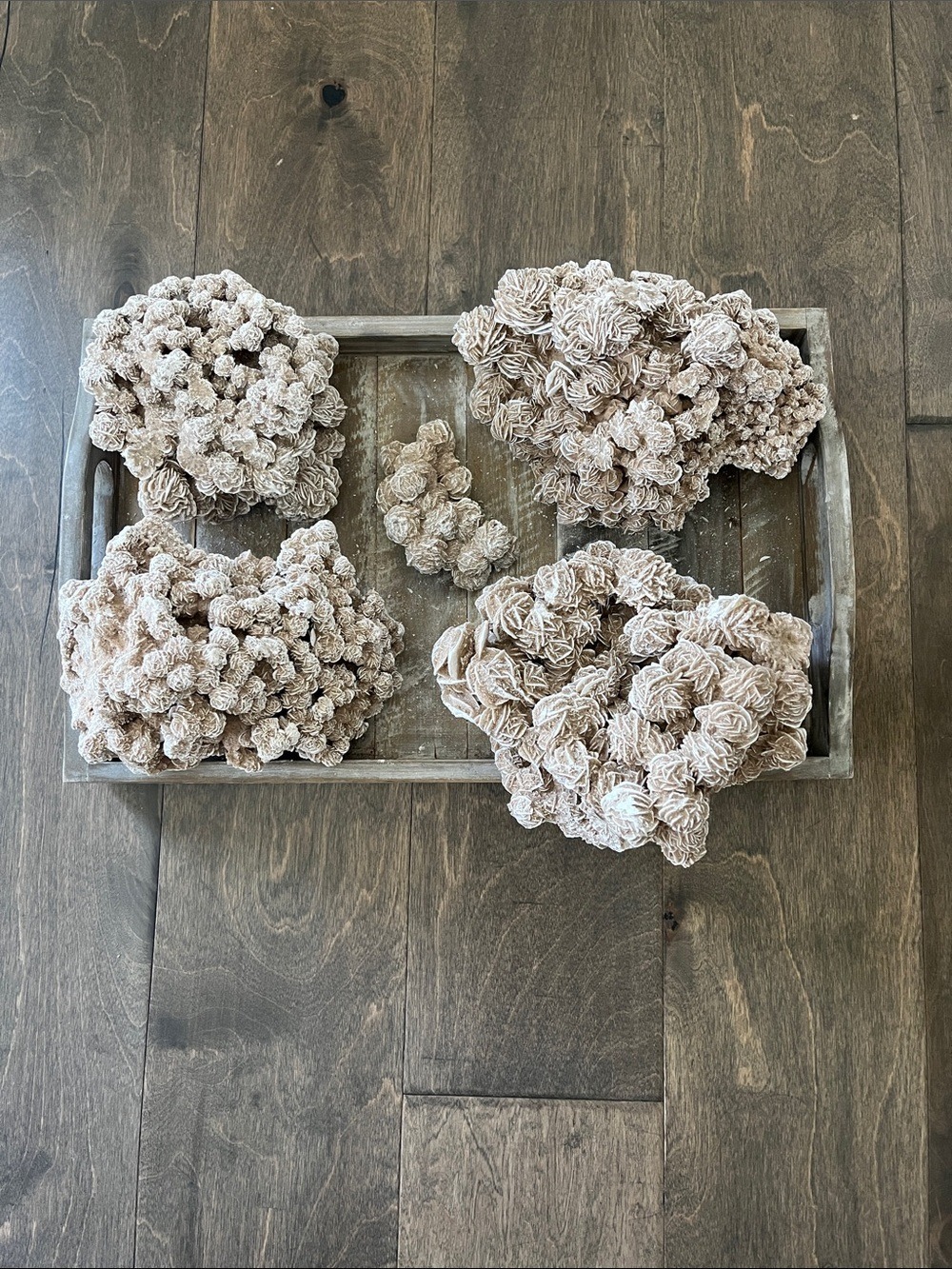 Desert Rose Selenite